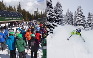 Which lines do you prefer? Powder or Crowded?