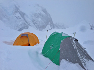 foster.ak.pics.2