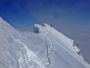 foster.ak.pics.5