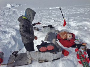 foster.ak.pics.6