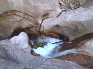 Oak Creek Fluvial