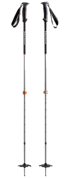 Ski Poles